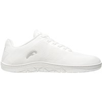 Basket Freet Vibe 2