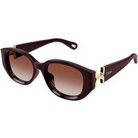 CHLOE Lunettes de soleil CH0237SK rouge foncé