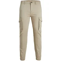 Pantalon Jack & Jones Paul Flake