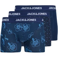 Boxer Jack & Jones Anthony (x3)