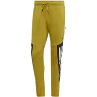 Pantalon de jogging adidas Future Icons