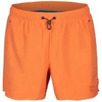 Short de bain Arena Evo Solid