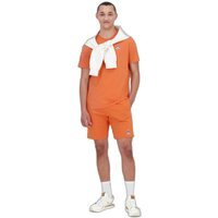 Short Le Coq Sportif Essentiels N°2