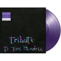 Tribute To Jimi Hendrix