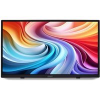Ecran PC Acer PM161QTbmiuuux 15,6" Full HD