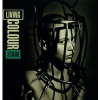 Stain Édition Limitée Vinyle Bleu Translucide
