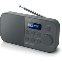 Radio Muse M-109 DB DAB+ Gris