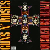 Appetite For Destruction Édition Limitée