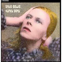 Hunky Dory