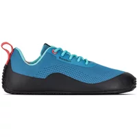 Baskets Be Lenka Trailair