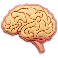 Jibbitz Crocs Anatomical Brain