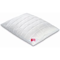 HEFEL Oreiller Wellness Zirbe 40x60cm blanc