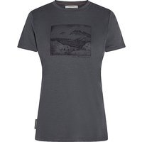 ICEBREAKER T-shirt fonctionnel femme Lake View 150 Tech-Lite gris | M