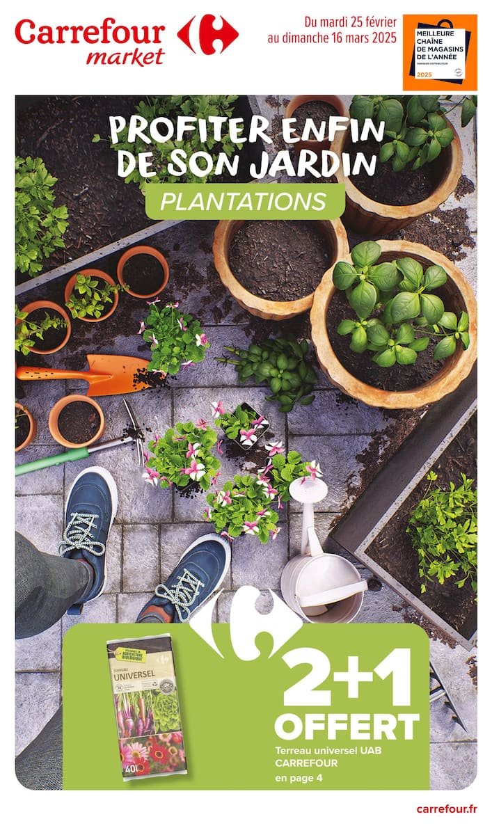 🌿 Jardin d'Été Éblouissant chez Carrefour Market 🌼