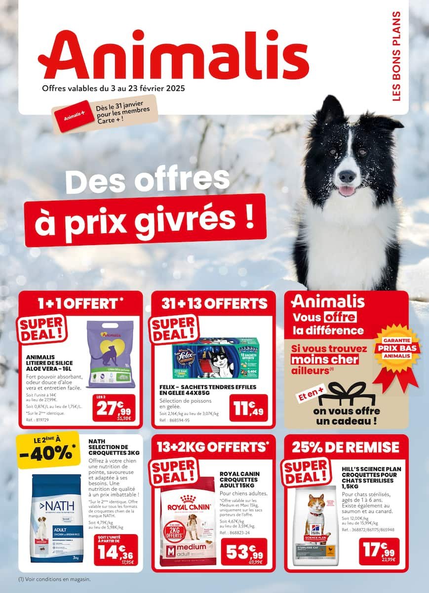 🐾 Animalis : L'Équipement Pour Vos Compagnons Fidèles ! 🐾