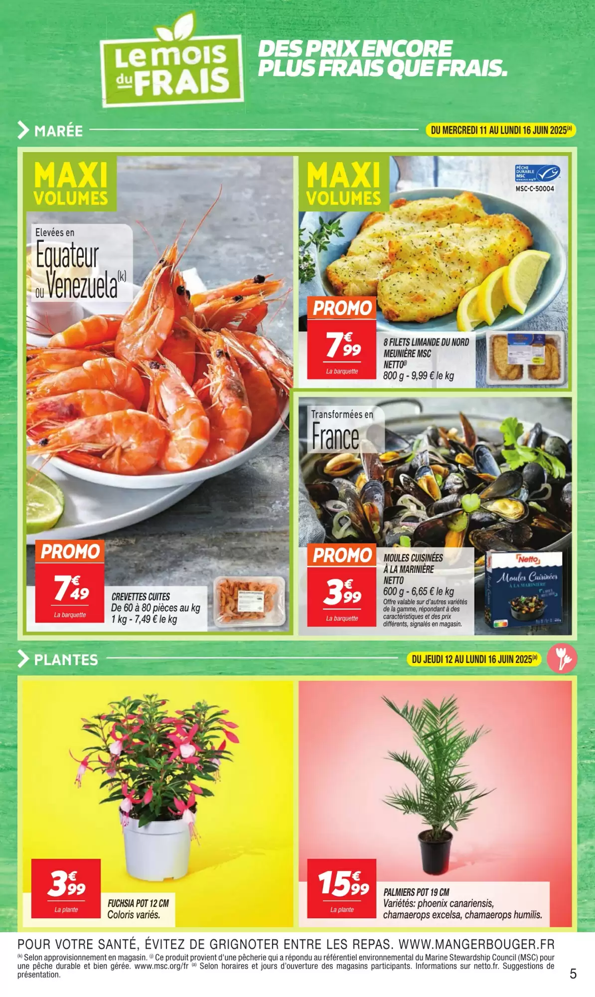 🥦 Le Mois du Frais chez Netto – Qualité & Origine France à Prix Mini ! 🛒