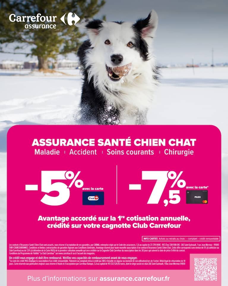 📘 Prospectus Carrefour Market – Offres & Promotions du Moment