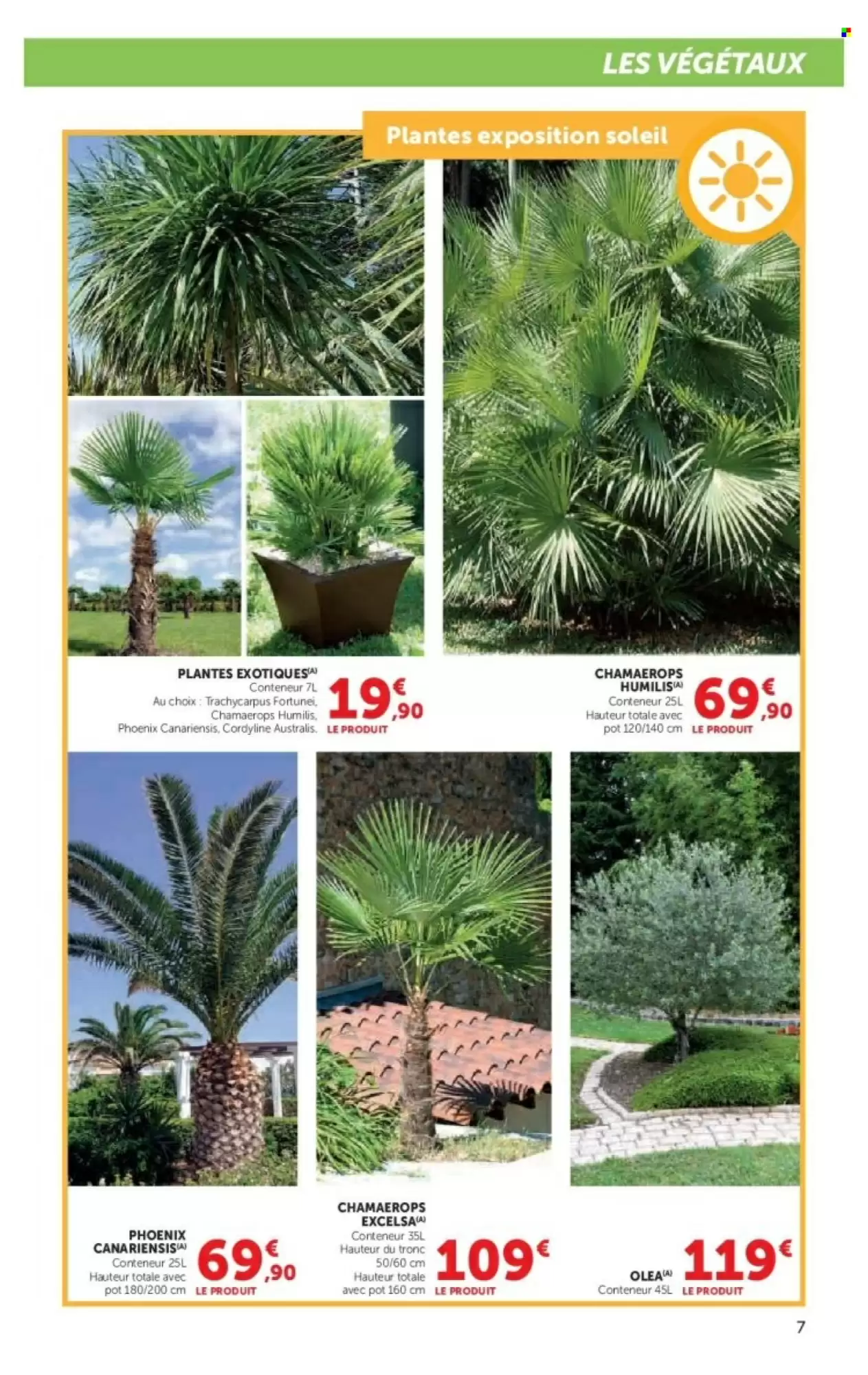 🌿 Promo jardin Hyper U : terreau horticole 2+1 offert & accessoires à petit prix