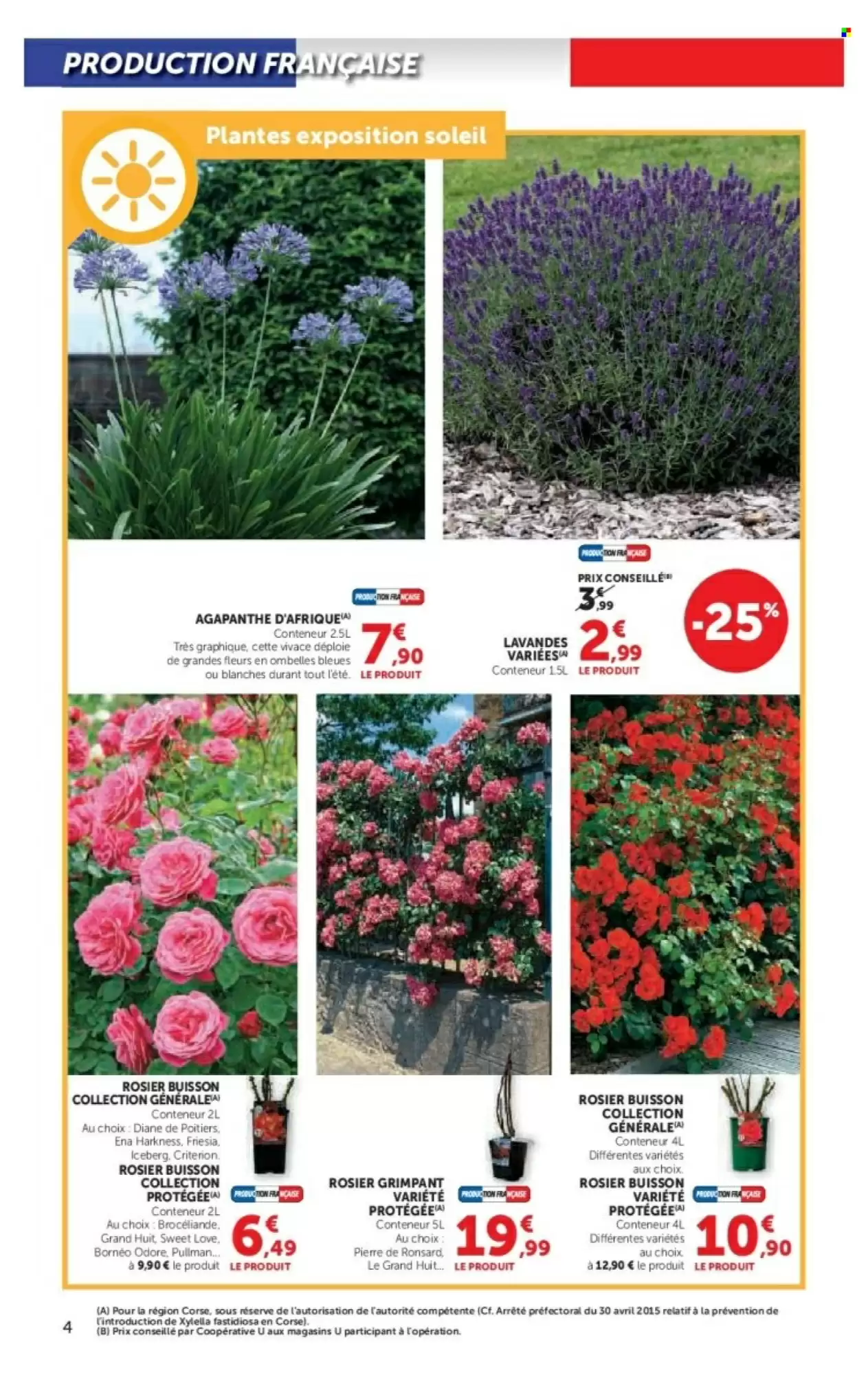 🌿 Promo jardin Hyper U : terreau horticole 2+1 offert & accessoires à petit prix