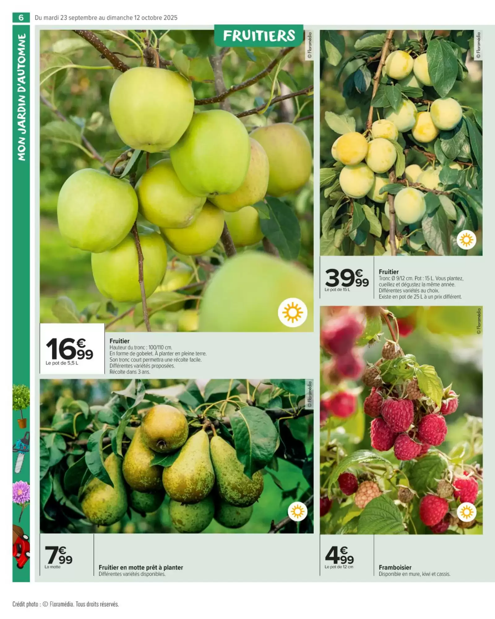 🍂Carrefour Market Prospectus | Préparez l’automne 🛠️🪴