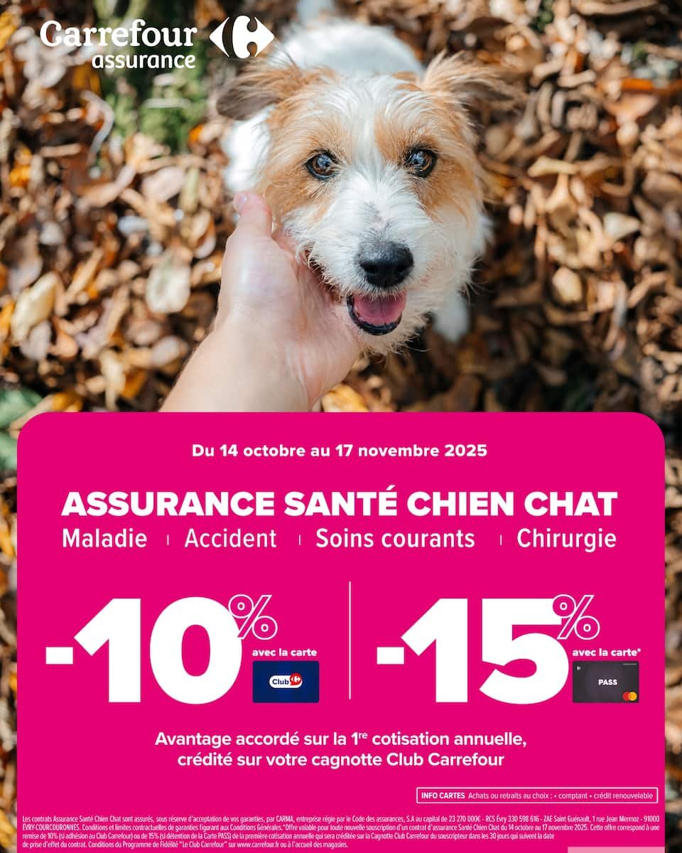 🎉 Carrefour Catalogue | Venez goûter le gala au meilleur pour de bon ! 🍇🧀