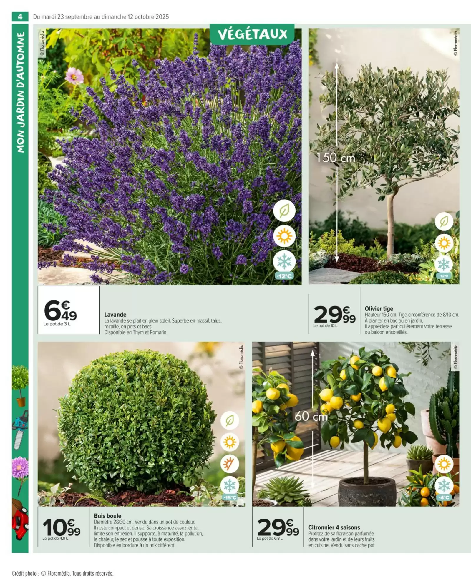 🍂Carrefour Market Prospectus | Préparez l’automne 🛠️🪴