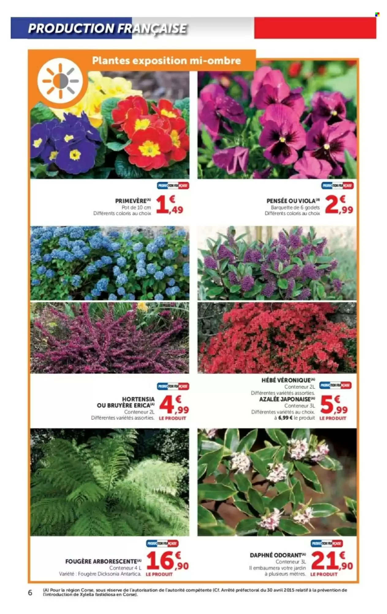 🌿 Promo jardin Hyper U : terreau horticole 2+1 offert & accessoires à petit prix