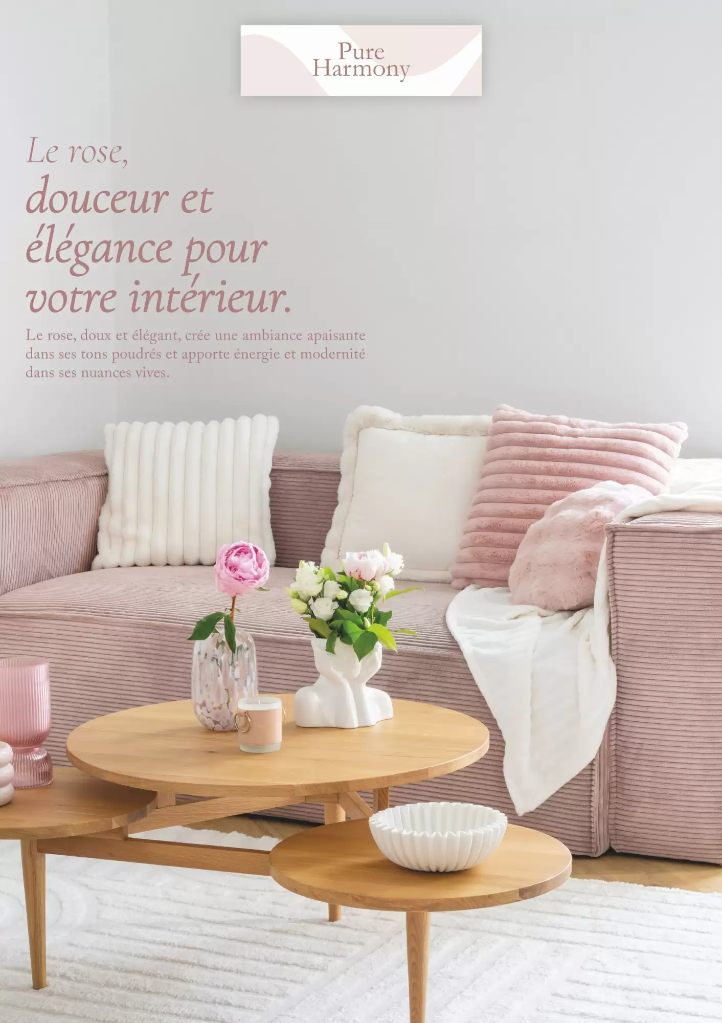 🏠 B&M Catalogue Décoration – Nouvelle Collection à Prix Malins ✨