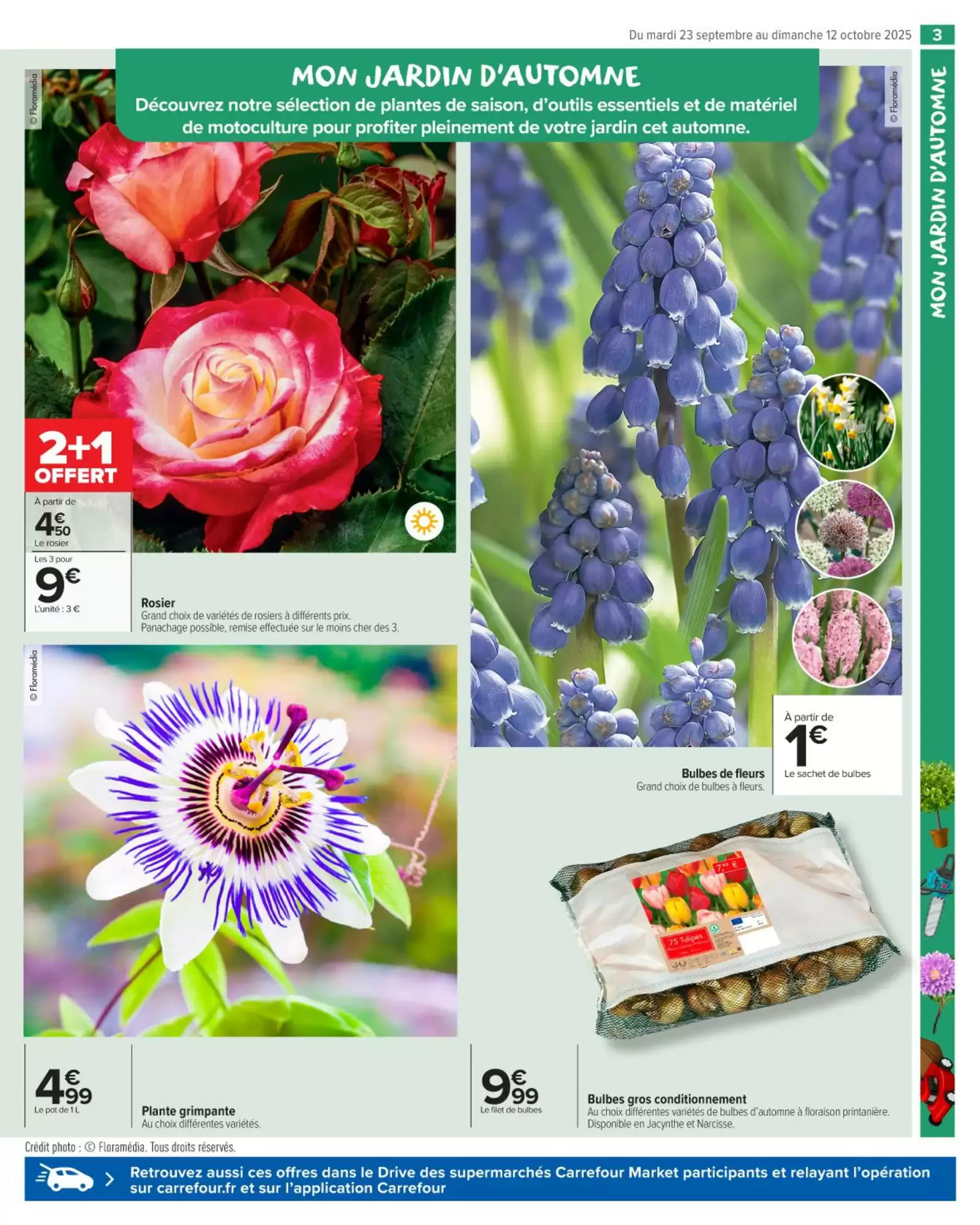 🍂Carrefour Market Prospectus | Préparez l’automne 🛠️🪴