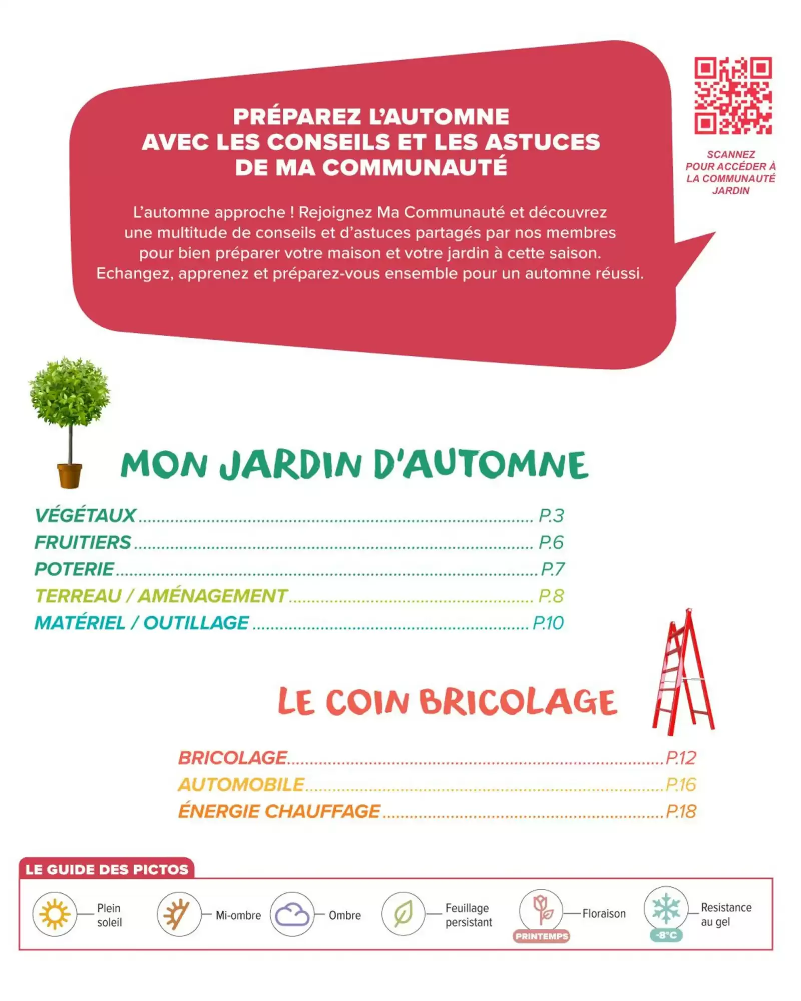🍂Carrefour Market Prospectus | Préparez l’automne 🛠️🪴